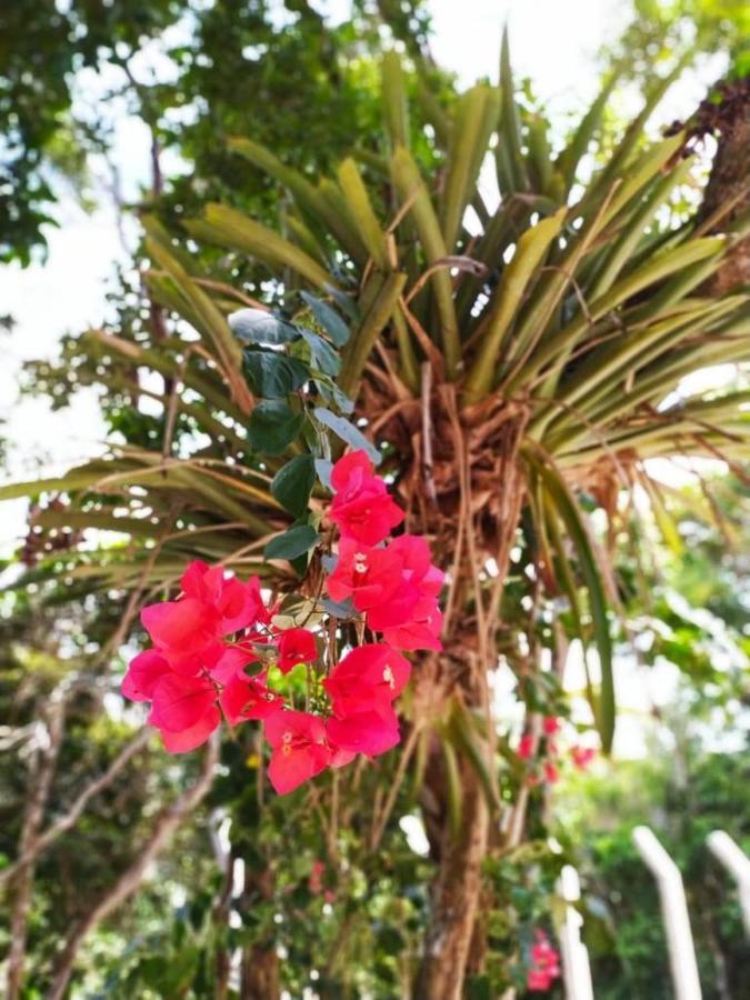 Vila Mulungu Casa 外观 照片